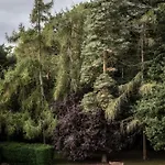 Crathorne Hall 얌