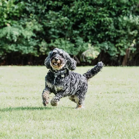 Hotel Crathorne Hall