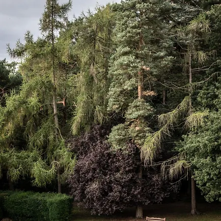 Crathorne Hall ヤーム