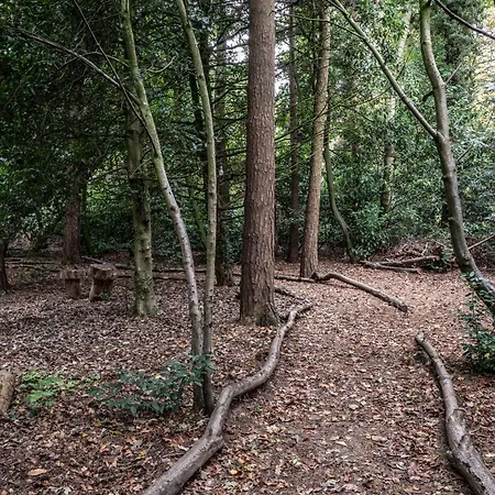 Crathorne Hall Hotel