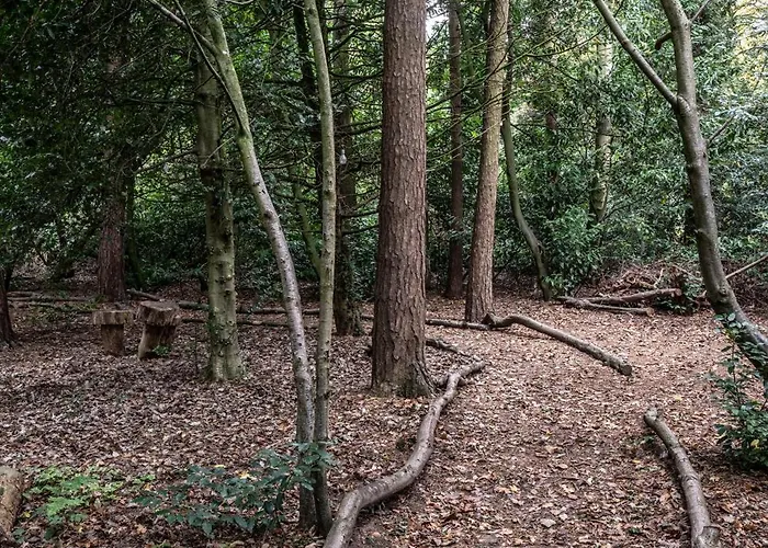 Crathorne Hall Hotel