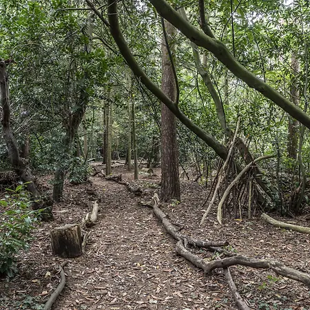 Otel Crathorne Hall Yarm