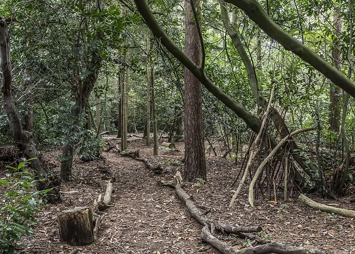 Hotel Crathorne Hall Yarm